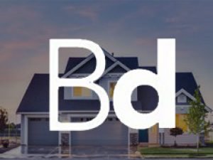 BirdDog Custom Real Estate App Development