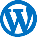 Hire Wordpress Developer