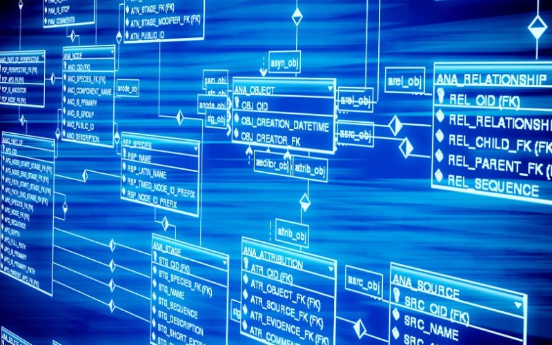 Designing the Database