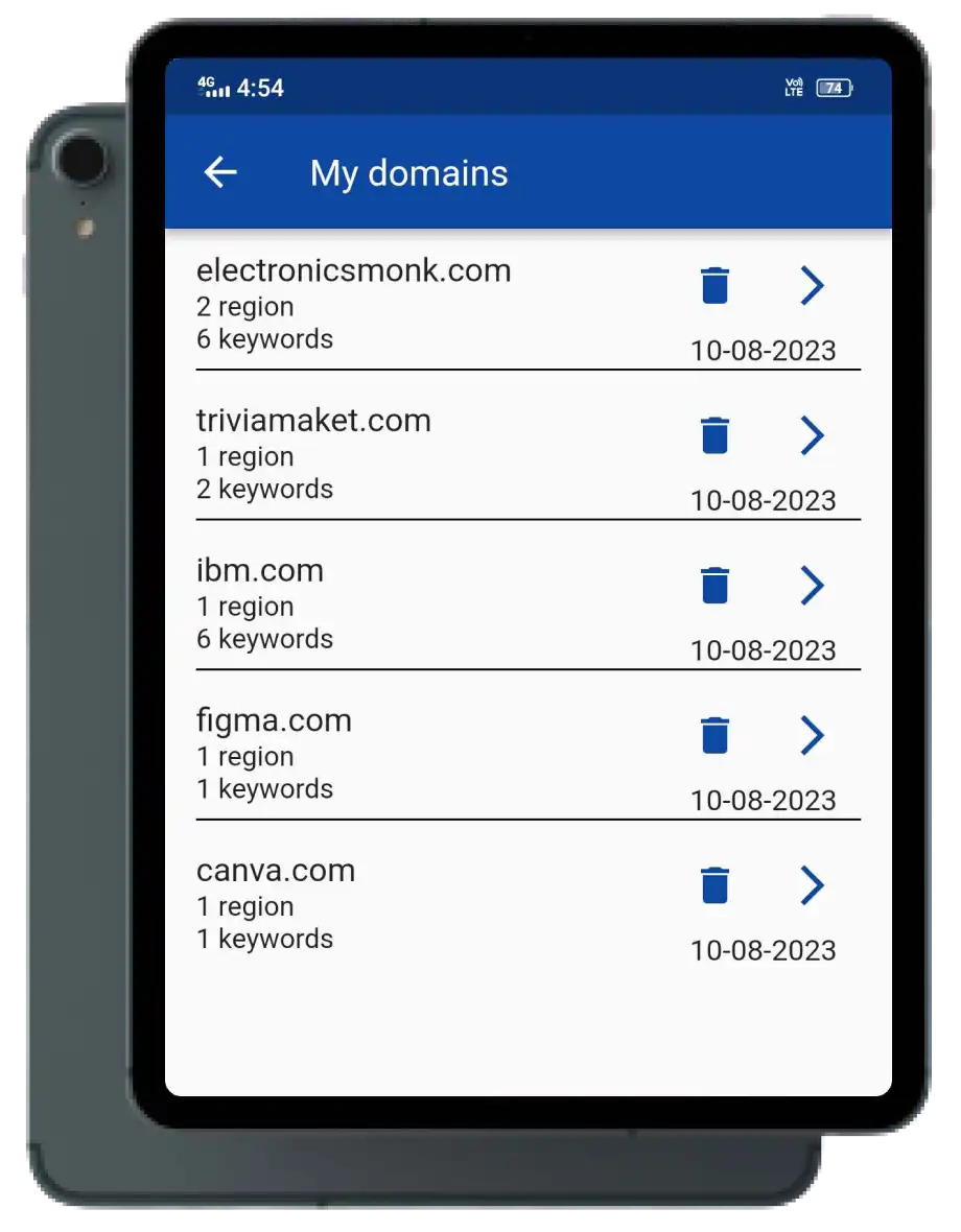 Details of Searched Keyword Domain in iPad